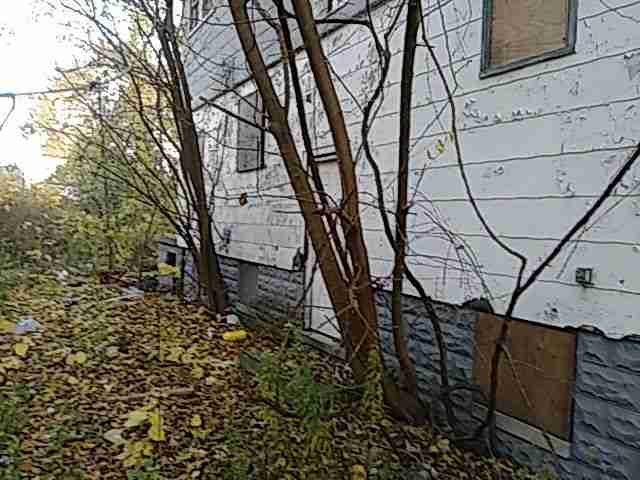 Testing again(3).jpg